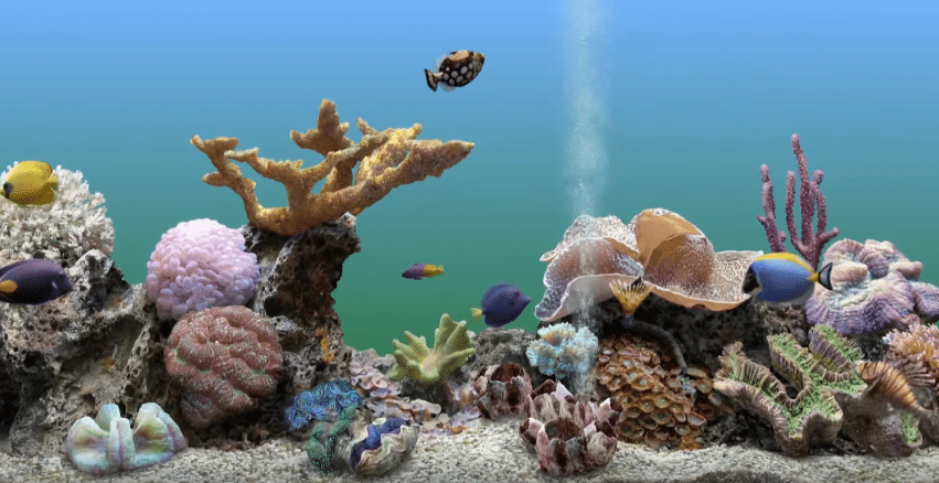 benefits of aquarium at home