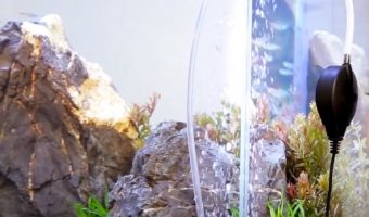 How to Quiet an Aquarium Air Pump