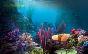 The 10 Best Aquarium Background For Planted Aquarium & Coral Reef Tanks (2022 Reviews)
