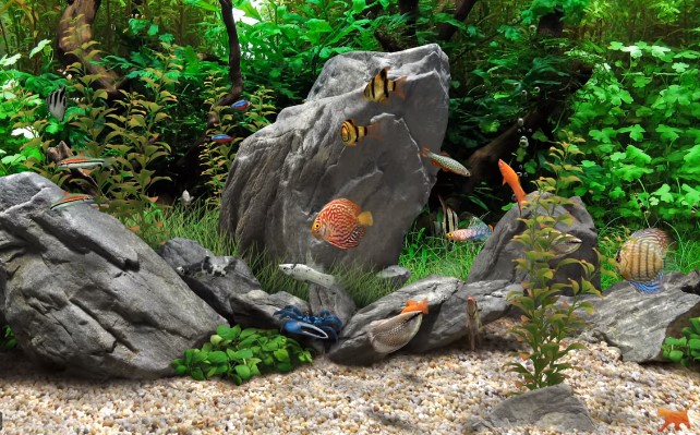The 15 Best Fish Tanks In 2020 Reviews Buying Guide,Sweetened Chestnut Puree