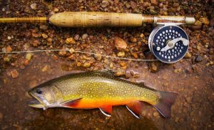 The Best Fishing Line For Trout In All Situations