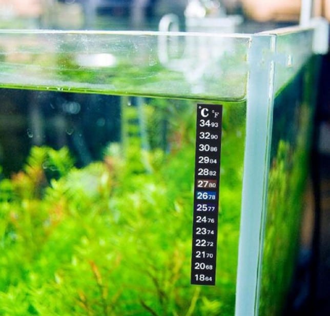 Fish tank thermometer strip